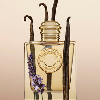 Burberry Goddess 100ml