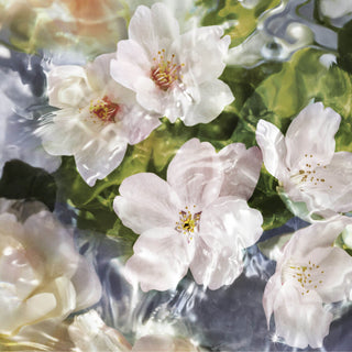 Guerlain Aqua Allegoria Flora Cherrysia 125ml